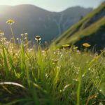 Natural ways to boost energy without caffeine.